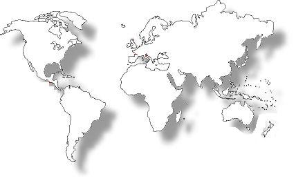 Worldwide